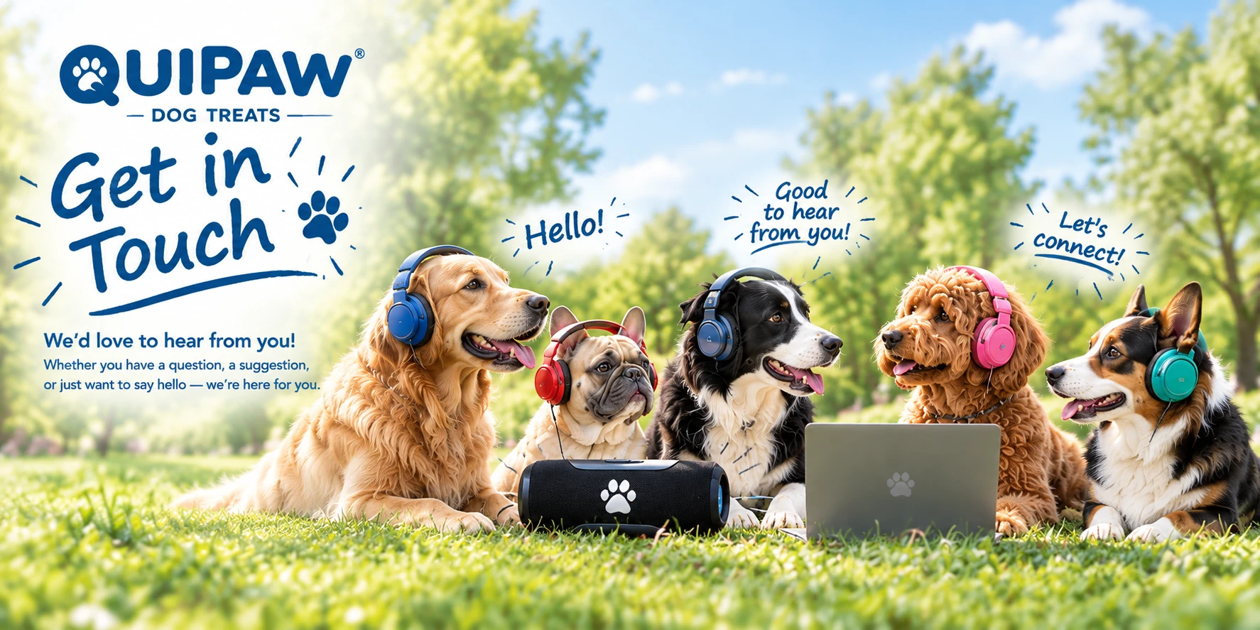 Quipaw dogs wearing colorful headphones around a speaker and laptop beneath a Get in Touch greeting